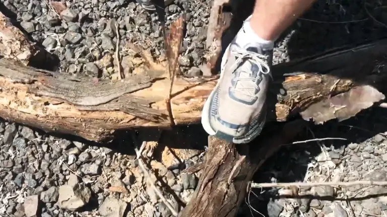 Person using Sportsman Pocket Chainsaw in the log
