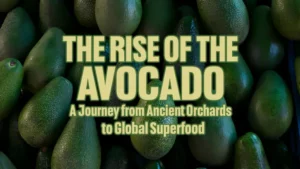 The Rise of the Avocado: A Journey from Ancient Orchards to Global Superfood