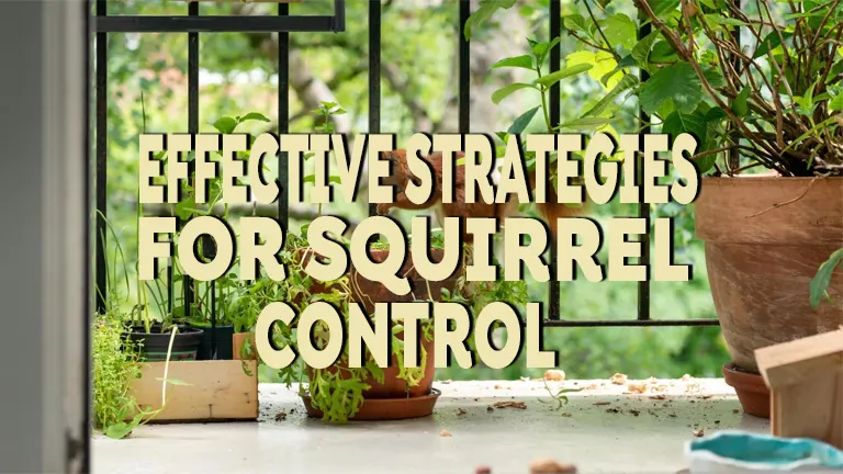 Effective Strategies for Squirrel Control: Keeping Your Garden Squirrel-Free