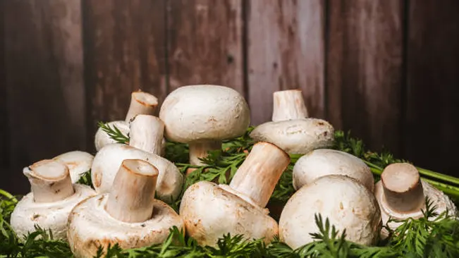 Fresh button mushrooms arranged on a bed of green herbs with a rustic wooden backdrop.