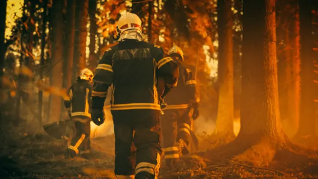 Firefighters advancing through a forest engulfed in flames, illustrating the front-line response to a wildfire's outbreak.