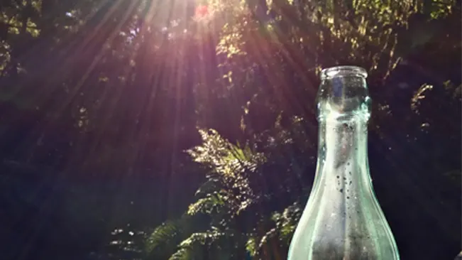 Sunlight filtering through a glass bottle in a forest setting, a scenario that could lead to fire ignition through sunlight refraction.