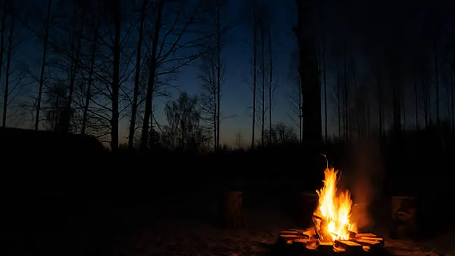 An unattended campfire burning at twilight in a forest clearing, a common human cause of wildfires.