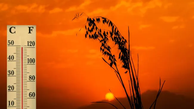 Thermometer showing high temperatures beside a silhouette of grass against a fiery sunset, illustrating extreme heat's role in wildfire risks