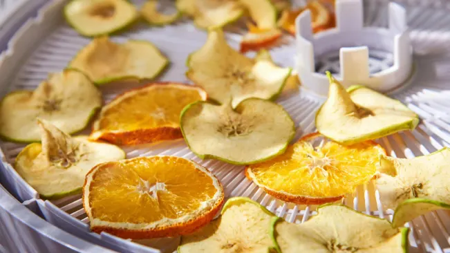 Dried apple and orange slices on a dehydrator tray

The Ultimate Food Dehydrator Guide For Beginner's