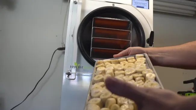 A person holding a tray of uncooked dough near an open industrial oven
