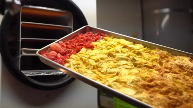 Tray of food in freeze dryer