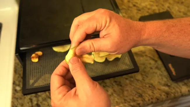 Man removing apples from dehydrator