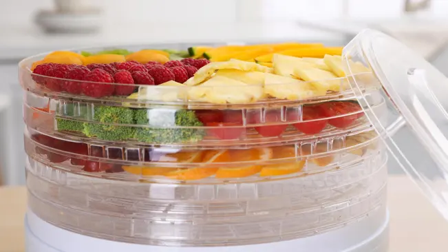 Food dehydrator filled with colorful fruits and vegetables