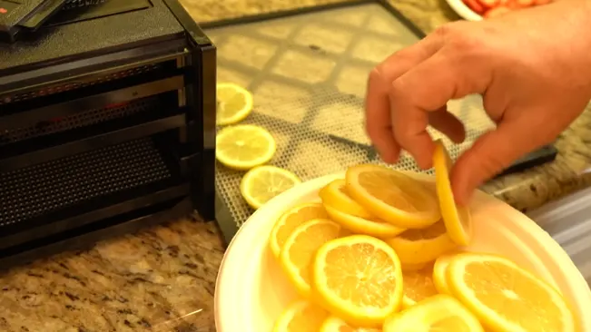 Slicing lemons for dehydrator
