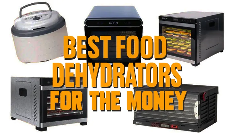 Best Food Dehydrators of 2024