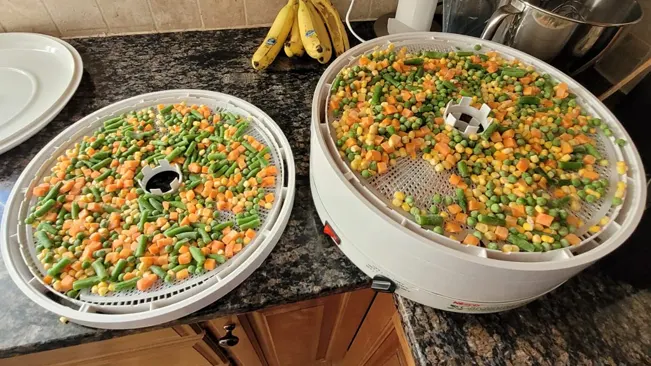 Dehydrator with vegetables