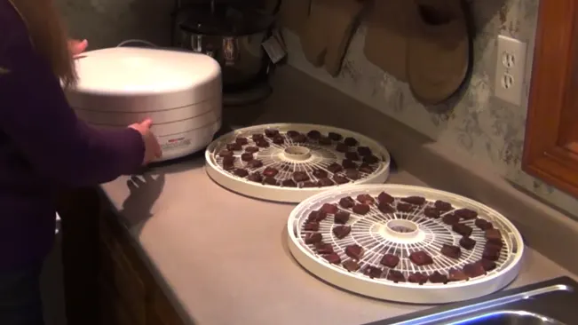 Person preparing a food dehydrator with trays of sliced food