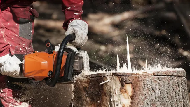 Person in red clothing using a chainsaw to cut a large tree stump outdoors

How To Grind A Tree Stump