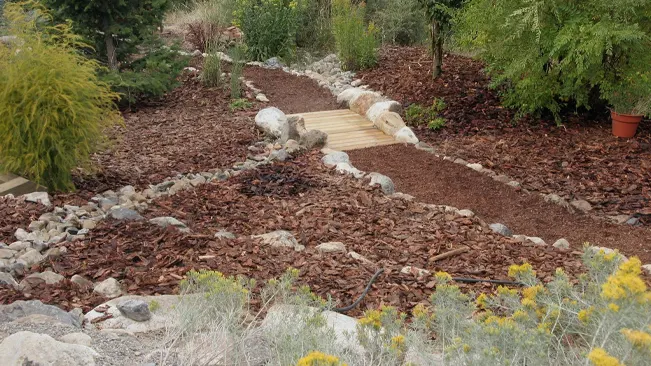 Landscaped garden with a wooden path, rocks, and plants