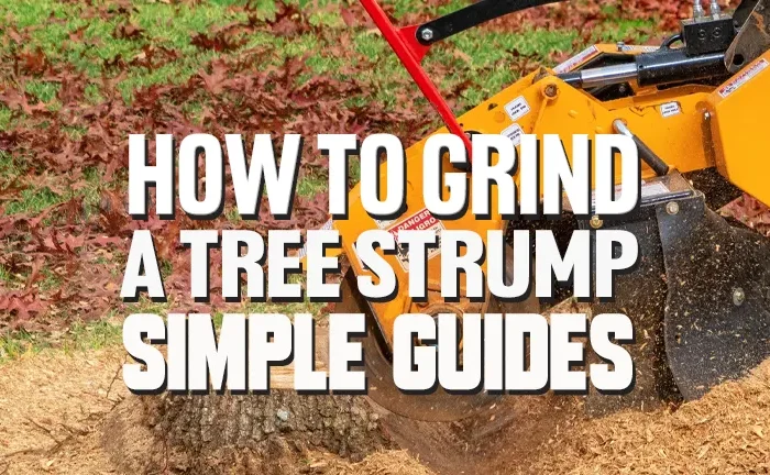 How to Grind A Tree Stump