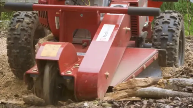 The ground is covered with chipped wood and debris