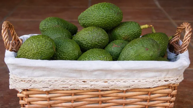 A wicker basket overflowing with green avocados sits on a light colored tiled floor.