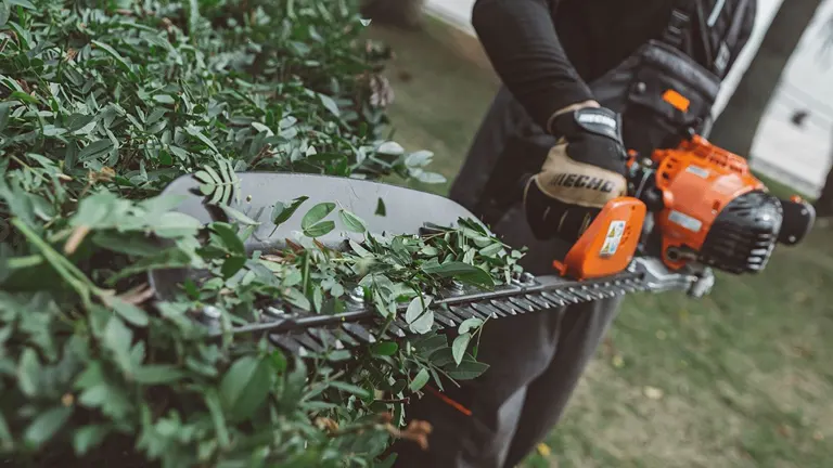 Person using Single-sided Hedge Trimmers