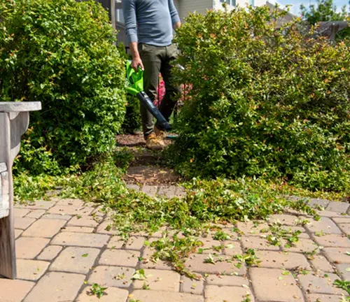 Person using leaf blower near hedge