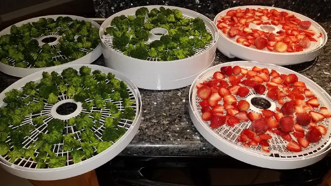 Dehydrator with broccoli and strawberries