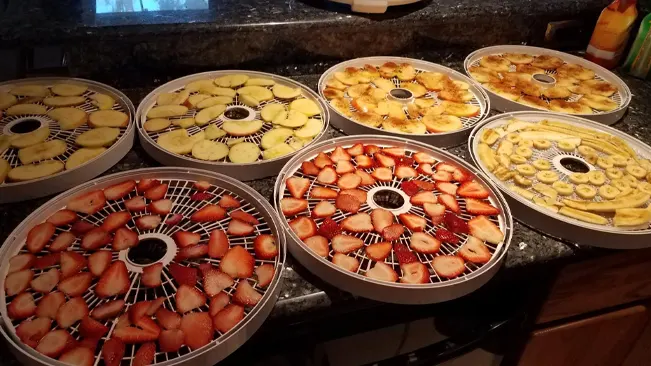 Sliced fruits arranged on dehydrator trays