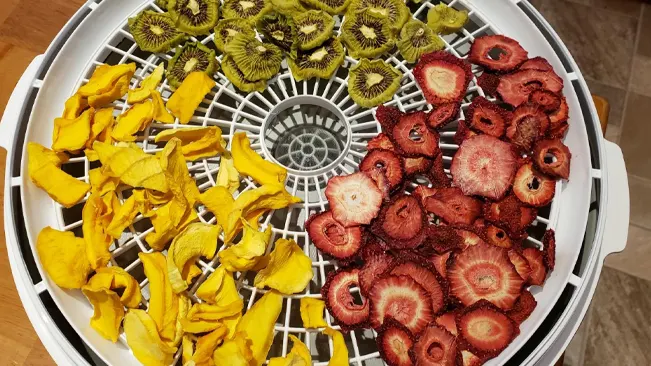 Dehydrator with sliced fruit