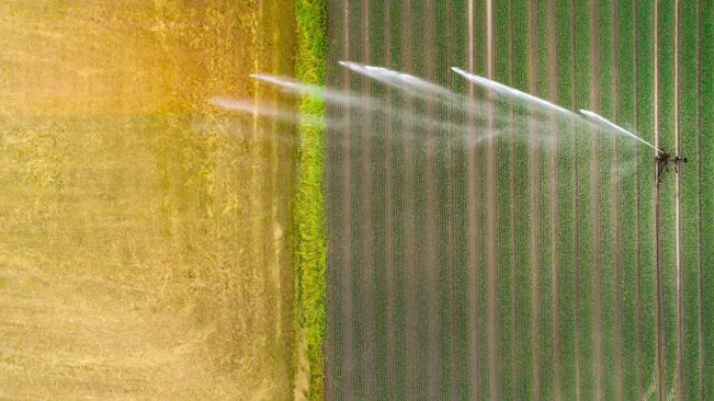 watering wheat field - agricultural area, aerial view
