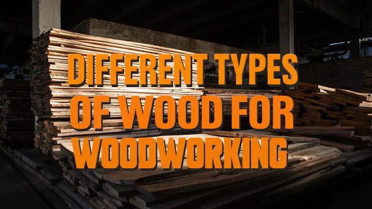 Different Types of Wood For Woodworking 2024