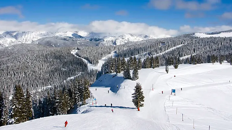 Skiers on snowy slopes with forested mountainside and cloudy blue skies in the background, showcasing a popular ski resort scene.