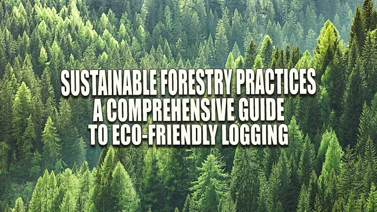 Sustainable Forestry Practices: A Comprehensive Guide to Eco-Friendly ...