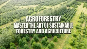 Aerial view of a green agroforestry landscape segmented into panels, overlaid with bold text stating 'AGROFORESTRY MASTER THE ART OF SUSTAINABLE FORESTRY AND AGRICULTURE'.