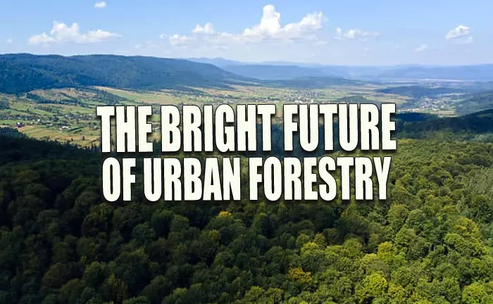 The Bright Future of Urban Forestry: Cutting-Edge Innovations in Green Infrastructure