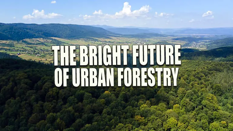 The Bright Future of Urban Forestry: Cutting-Edge Innovations in Green Infrastructure