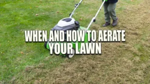 A person using a green lawn aerator machine on a grassy lawn, creating soil plugs and aeration lines, with the ground showing freshly aerated soil.