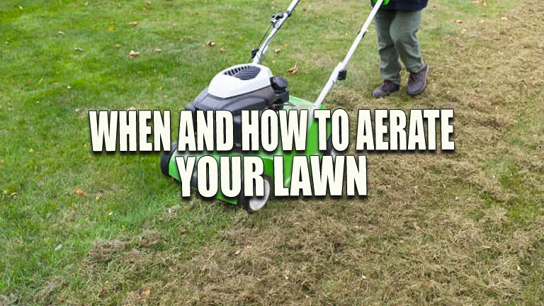 When and How to Aerate Your Lawn: A Complete Guide for Stunning Results