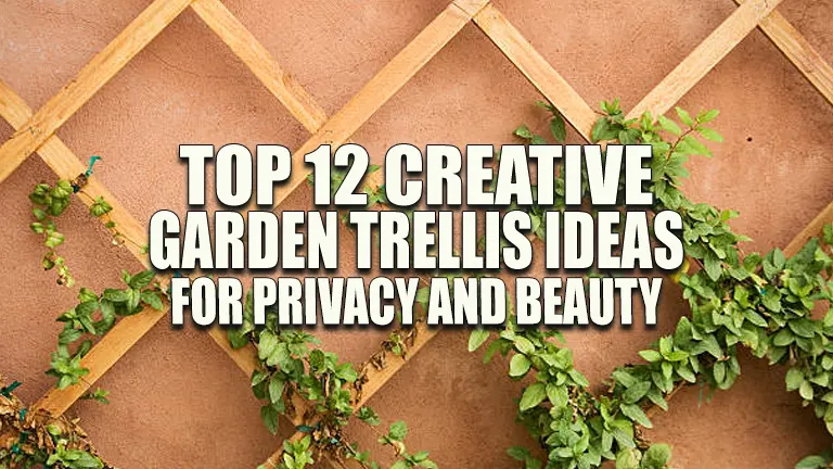 Top 12 Creative Garden Trellis Ideas for Privacy &amp; Beauty