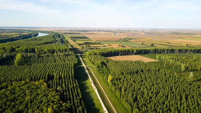 Agroforestry: Master the Art of Sustainable Agriculture and Forestry