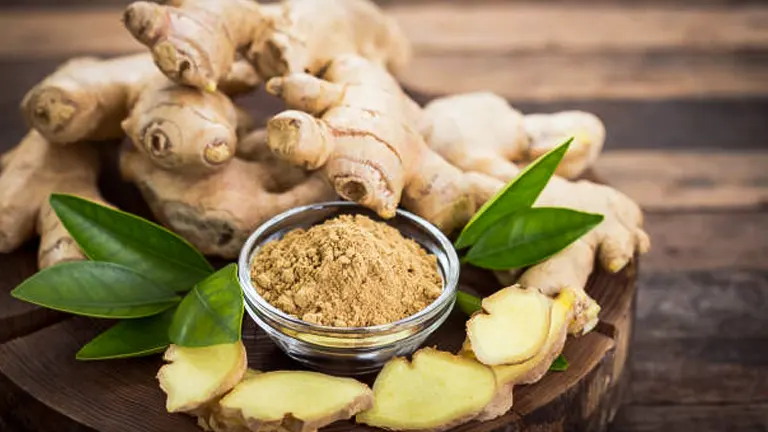 Fresh ginger roots, sliced ginger, and a bowl of ground ginger powder displayed on a wooden surface with green leaves.