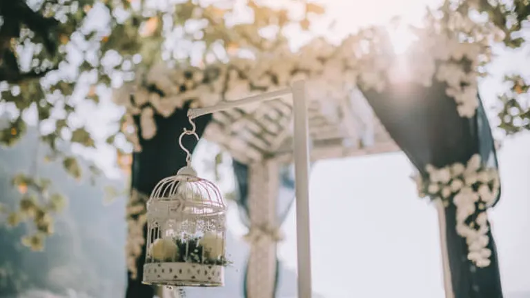 Decorative candle lantern hanging from a pergola adorned with white flowers, with sunlight filtering through the leaves.