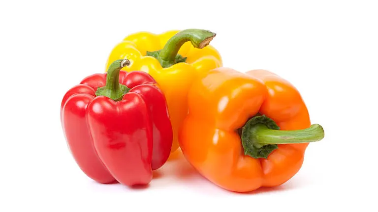 Three vibrant bell peppers in red, yellow, and orange, displayed on a white background.