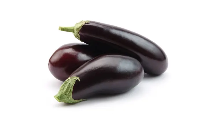 Three glossy purple eggplants with green stems, displayed on a white background.