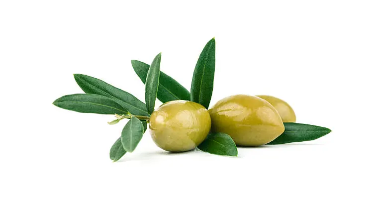 Three green olives with leaves, displayed on a white background.
