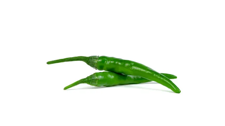 Two fresh green chilies displayed on a white background.