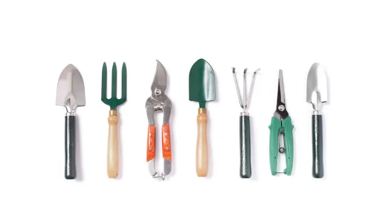 A set of six gardening tools arranged in a row against a white background, including two trowels, a garden fork, pruning shears, a hand cultivator, and gardening scissors.
