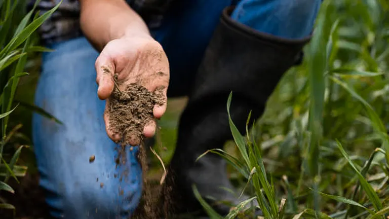 Farmer kneeling in a field, examining soil quality by holding and sifting dirt through their hand.