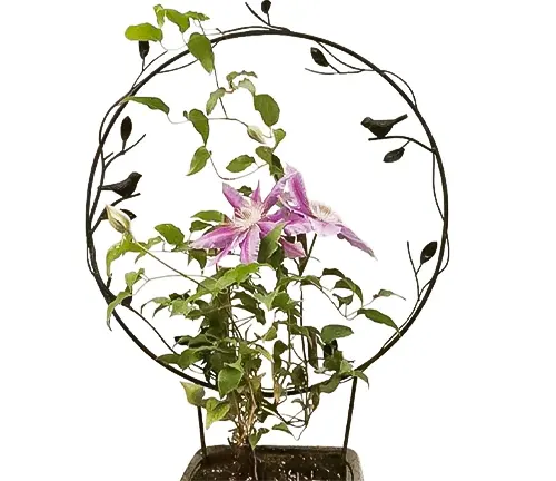 Decorative circular metal trellis with leaf motifs, supporting a climbing plant with pink flowers in a small pot.