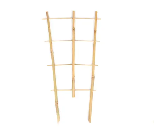 Simple bamboo trellis with vertical and horizontal poles, ideal for supporting climbing plants, isolated on a white background.