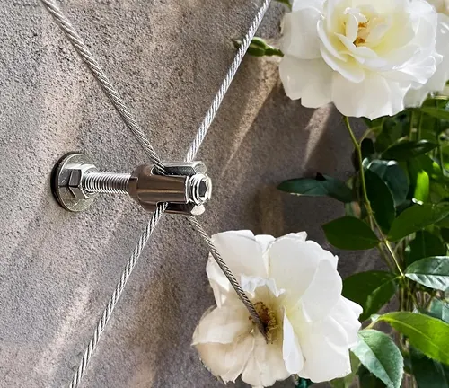 Close-up view of a wire trellis system with white roses climbing on it, attached to a gray wall using a metal bolt and nut.