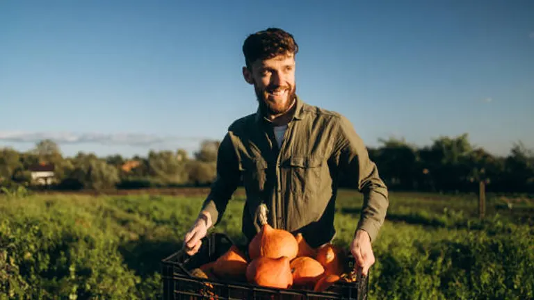 A joyful man holding a crate full of ripe pumpkins in a lush field, with a clear blue sky in the background.

